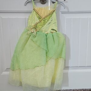 Disney Princess Dress